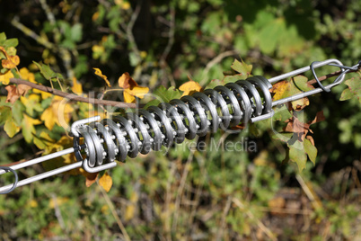 Electric fence gate protects a green grass pasture