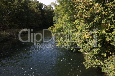 A quiet river with overgrown green banks