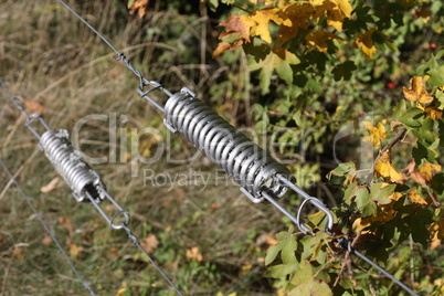 Electric fence gate protects a green grass pasture