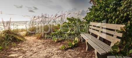 Wood bench overlooks White sand path leading toward Delnor Wiggi