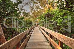 Boardwalk leading toward Delnor-Wiggins State Park at sunset