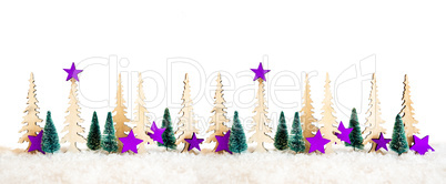Christmas Tree Banner, Purple Star Decoration, White Isolated Background, Snow
