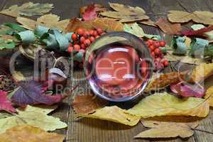 Autumn still life with glass ball, leaves and berries
