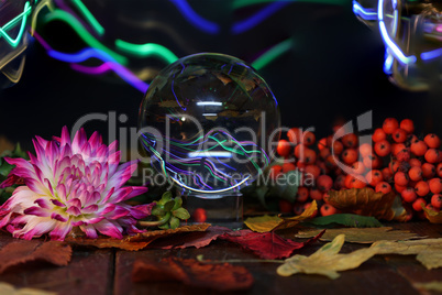 Autumn still life with glass ball, leaves and berries