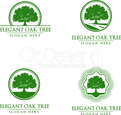 Green Oak Tree Vector Logo Design