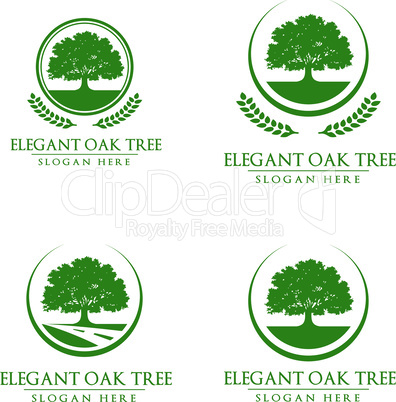 Green Oak Tree Vector Logo Design