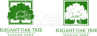 Green Oak Tree Vector Logo Design