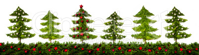 Panorama Of Christmas Tree Pattern And Texture, Fir Branches