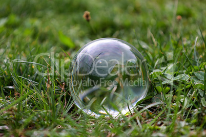 Transparent glass ball lies on a meadow in the grass