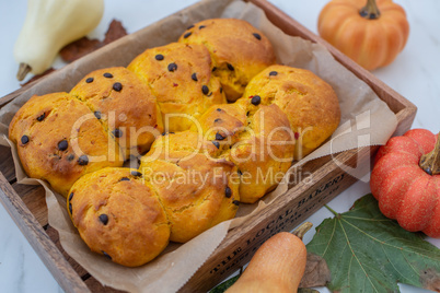 Kürbis Schoko Milchbrötchen