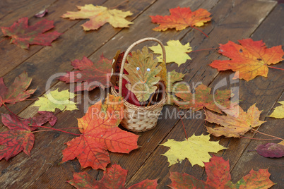 Bright autumn leaves lie on wooden boards