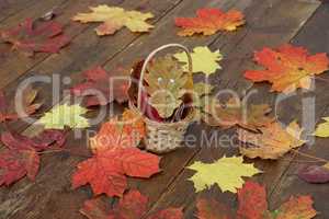 Bright autumn leaves lie on wooden boards