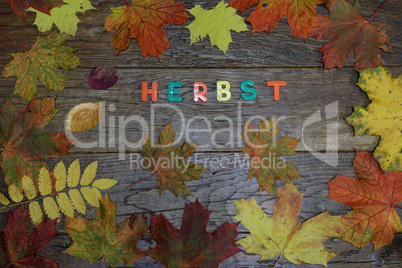 Autumn background with colored leaves on wooden board. Text in German: Autumn