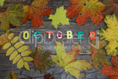 autumn background with colored leaves on wooden board