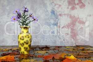 Beautiful autumn still life of purple flowers with the Latin name Symphyotrichum
