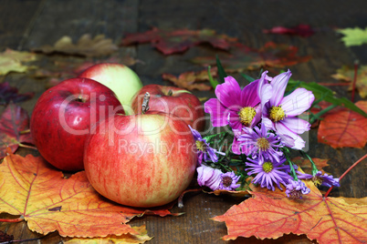 Beautiful autumn still life of flowers and apples