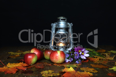 Beautiful autumn still life of flowers and apples