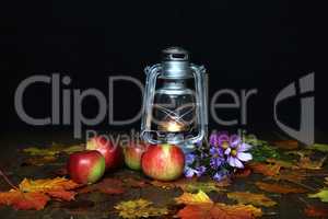 Beautiful autumn still life of flowers and apples