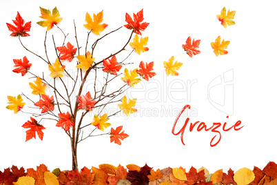 Tree With Colorful Leaf Decoration, Leaves Flying Away, Grazie Means Thank You