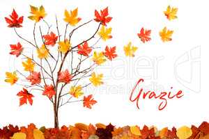 Tree With Colorful Leaf Decoration, Leaves Flying Away, Grazie Means Thank You