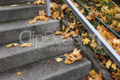 Yellow leaves lie on the steps of the stairs in autumn