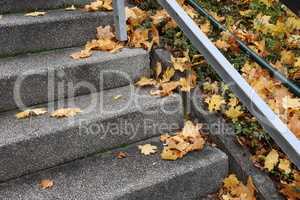 Yellow leaves lie on the steps of the stairs in autumn