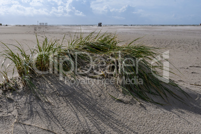 Coastal Scene on the North Frisian Island Amrum in Germany