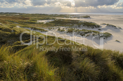 Landscape on Amrum, Germany. Amrum is one of the North Frisian I