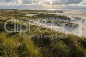 Landscape on Amrum, Germany. Amrum is one of the North Frisian I