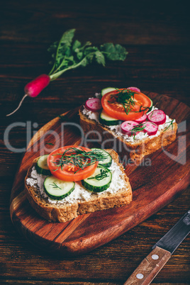 Vegetarian sandwiches with fresh vegetables