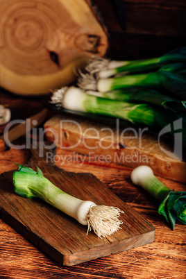 Fresh green leek on cutting board