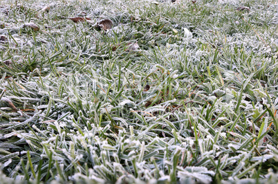 First morning frosts in autumn on the grass near the house