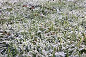 First morning frosts in autumn on the grass near the house