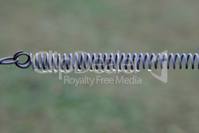 Water droplets hang on a metal spring