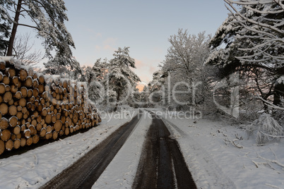 Agricultural way near the village Osterfeld, Allendorf Eder