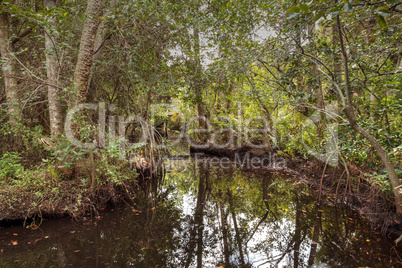 Kayak launch that extends through Manatee Park