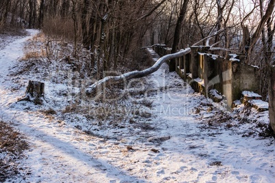 Arboretum in Kamianets-Podilskyi, Ukraine