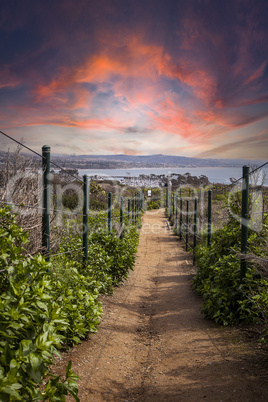 Sunset over Hiking trail above Dana Point Harbor