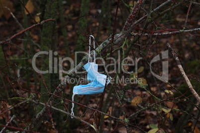 Used medical mask on a tree during the pandemic