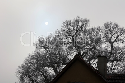 Sun in fog over rooftops and trees