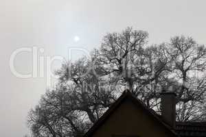 Sun in fog over rooftops and trees