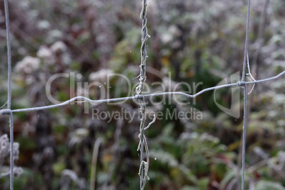 Frost on a metal mesh on a winter morning