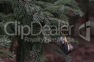 Spruce branches with a toy are covered with frost