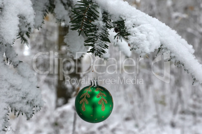 Green Christmas ball hanging in the forest on the fir