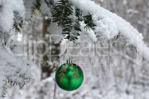 Green Christmas ball hanging in the forest on the fir