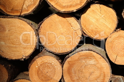 Close up wooden stacked sawn logs for background