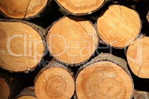 Close up wooden stacked sawn logs for background