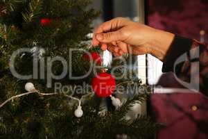 Beautiful red balls are hung on the Christmas tree