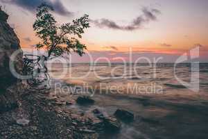 Tree on the rocky shore at sunrise