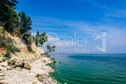 Tree on the rocky shore at summer day